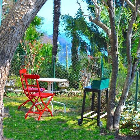 Apartment The Palm With Garden Sala Comacina Exteriér fotografie